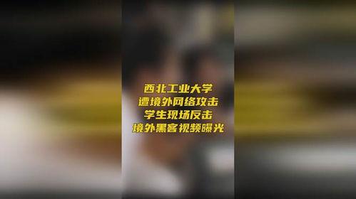 中国黑客爆料视频,中国黑客曝光惊人内幕